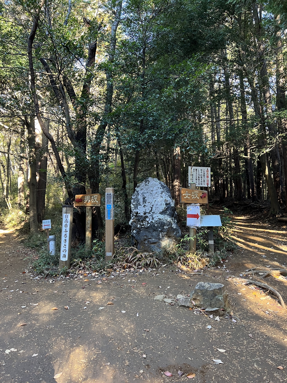 【トレイル】奥武蔵 日和田山〜物見山1wayの写真6