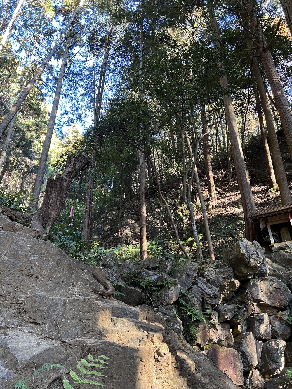 【トレイル】奥武蔵 日和田山〜物見山1wayの写真7