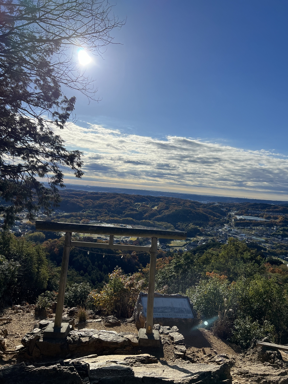 【トレイル】奥武蔵 日和田山〜物見山1wayの写真9