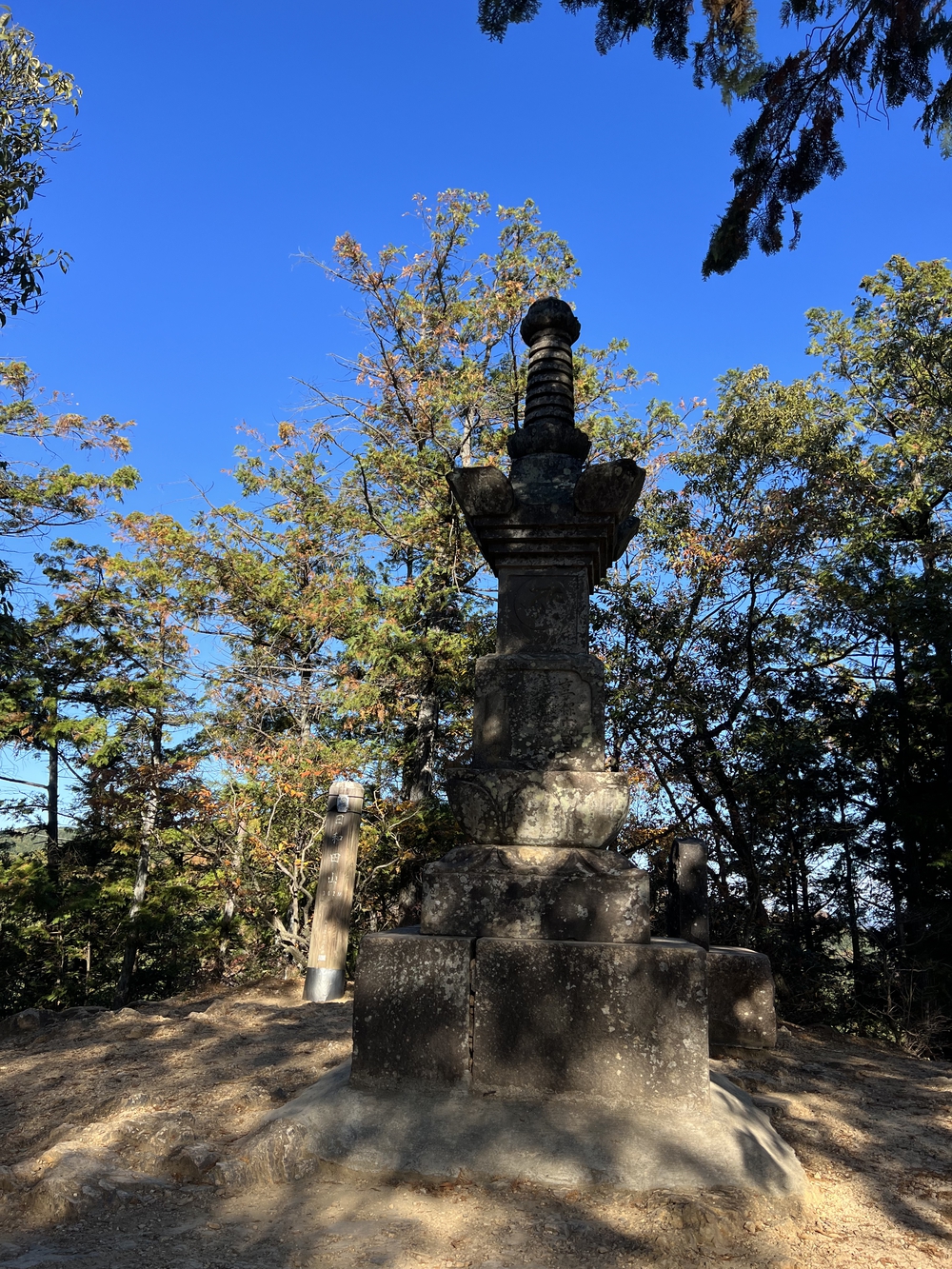 【トレイル】奥武蔵 日和田山〜物見山1wayの写真10