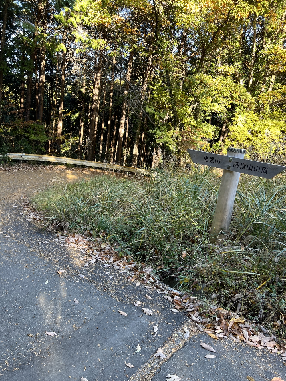 【トレイル】奥武蔵 日和田山〜物見山1wayの写真11