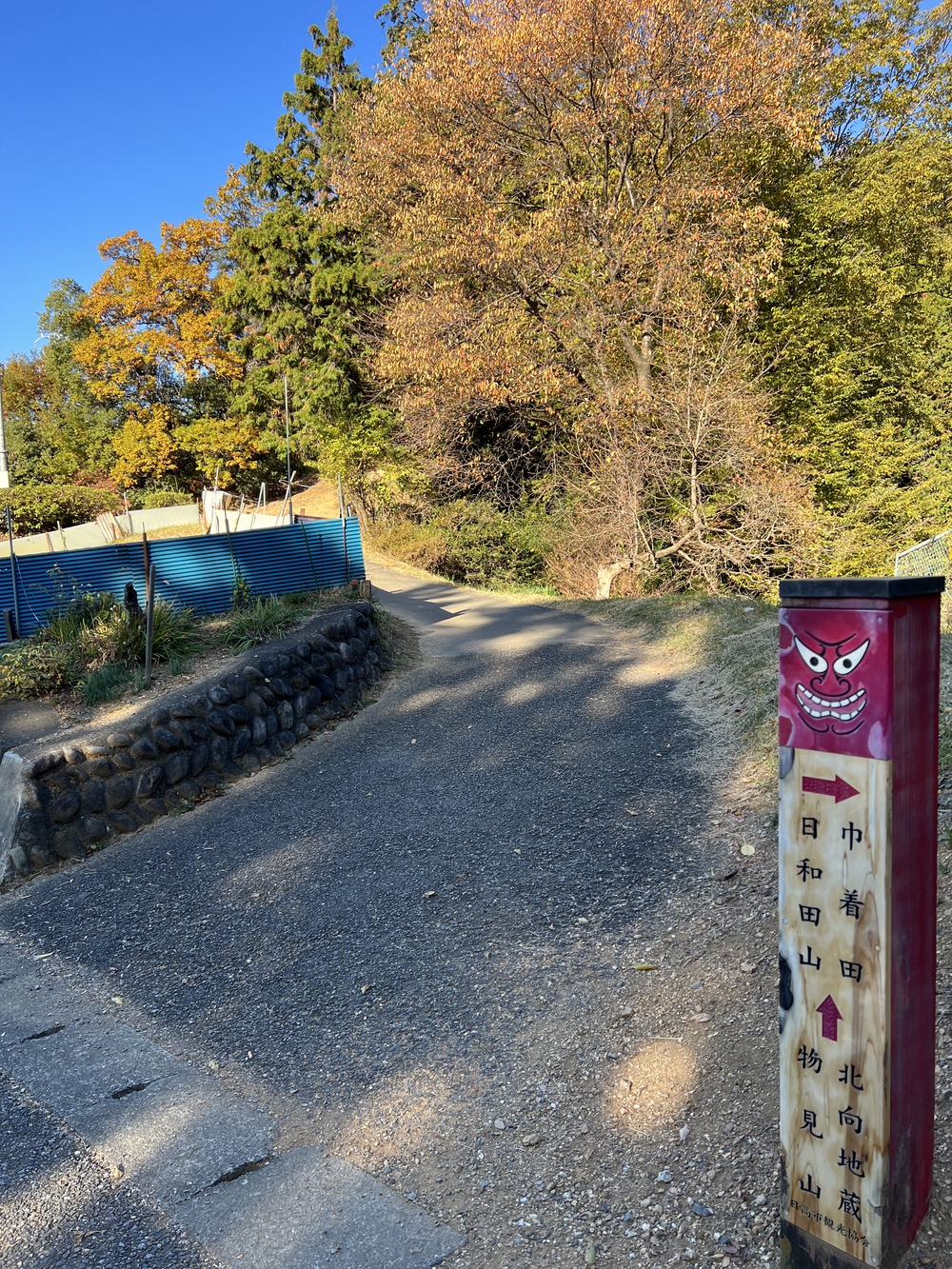 【トレイル】奥武蔵 日和田山〜物見山1wayの写真12