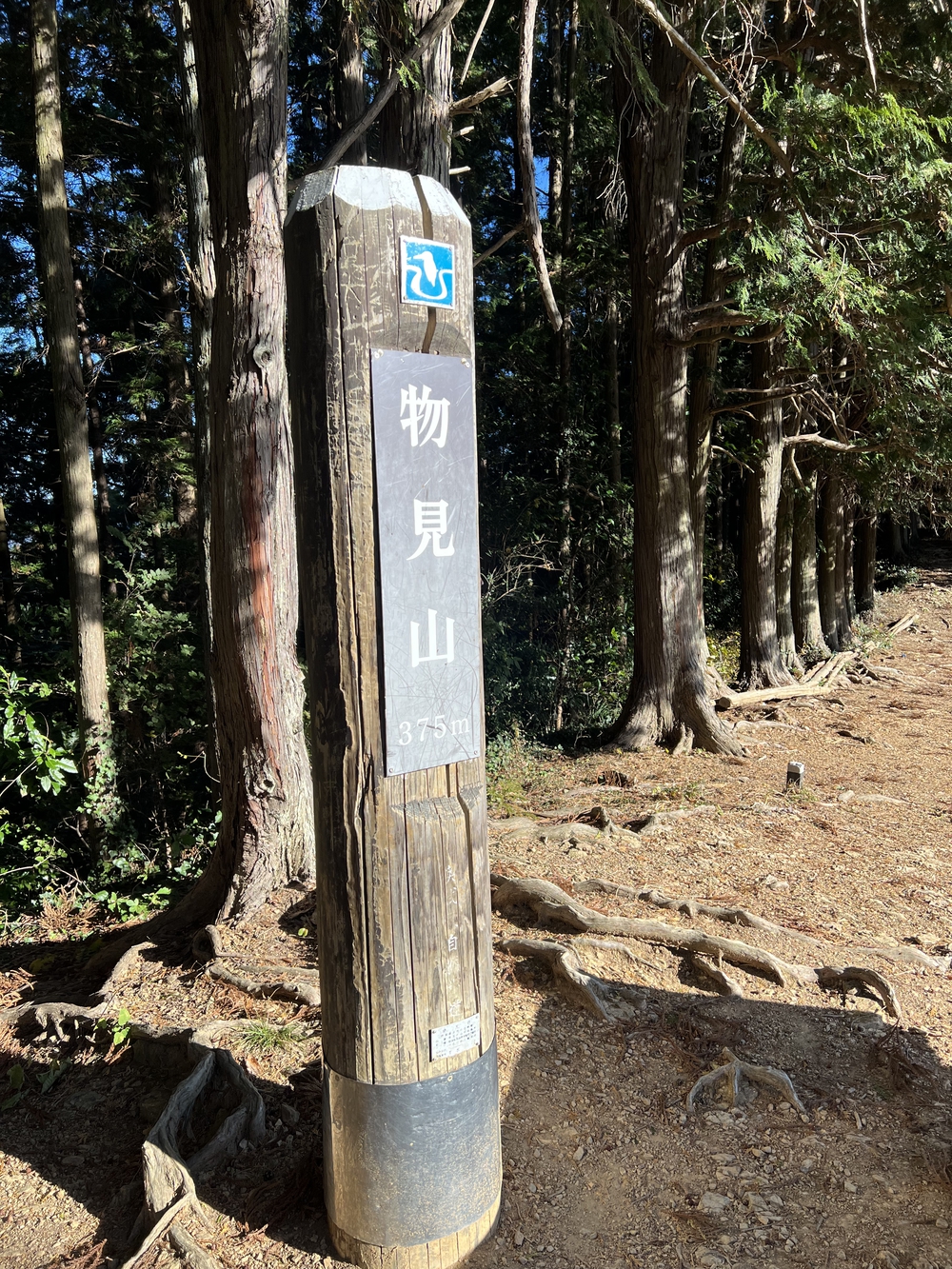 【トレイル】奥武蔵 日和田山〜物見山1wayの写真13