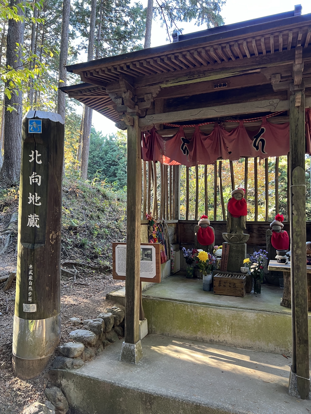 【トレイル】奥武蔵 日和田山〜物見山1wayの写真16