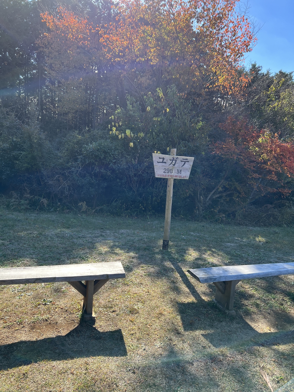 【トレイル】奥武蔵 日和田山〜物見山1wayの写真20