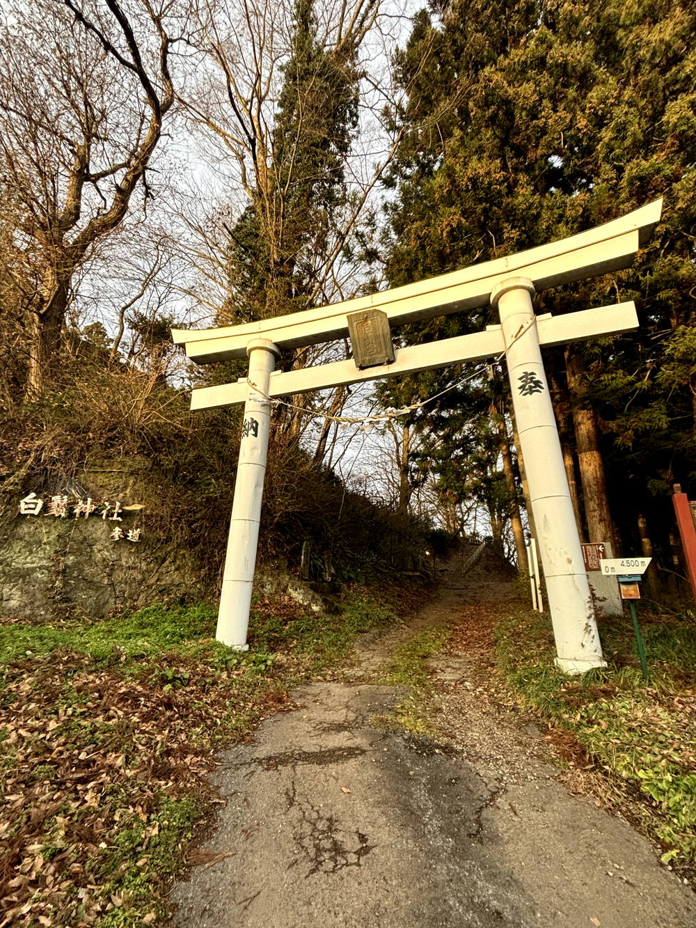 【10km】鬼柳町3大神社参拝ランの写真3