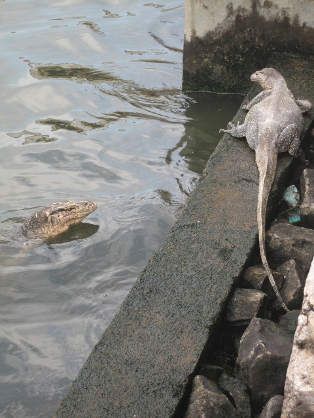 世界遺産の港町・マラッカ・素敵な休日の写真9