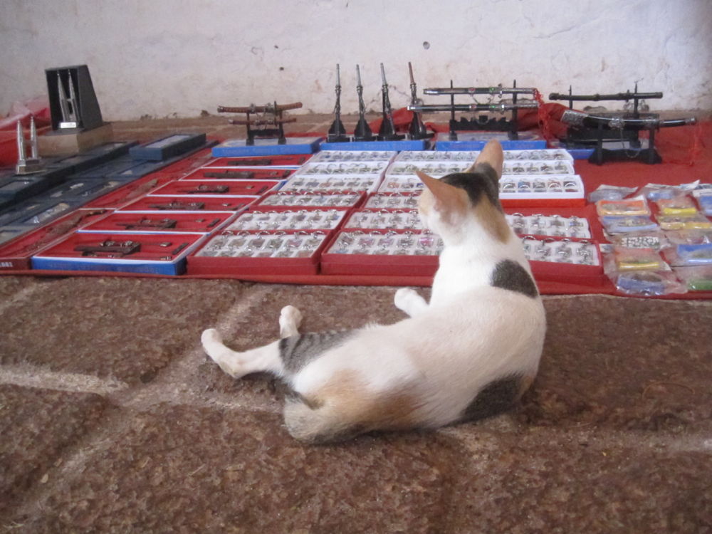 世界遺産の港町・マラッカ・素敵な休日の写真11