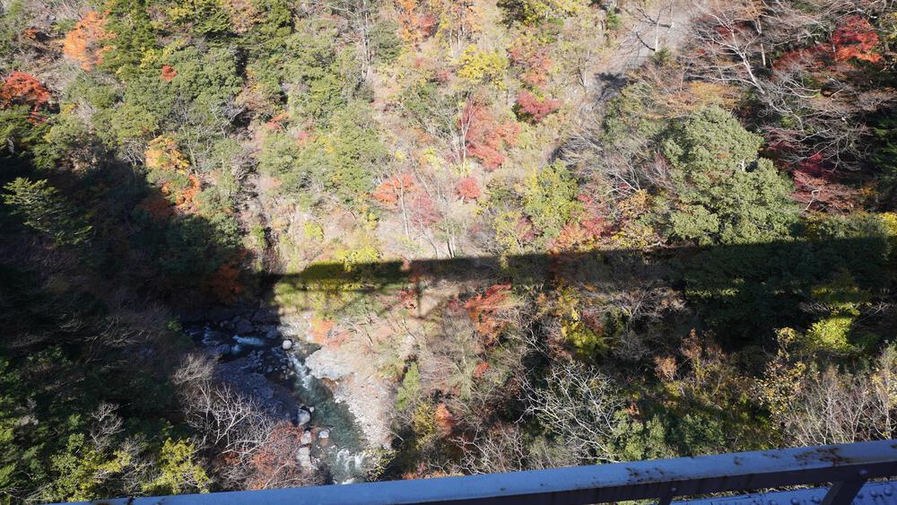【静岡】秘境すぎて日常のコースでは満足できなくなる禁断コース、奥大井湖上駅と接阻峡の写真7
