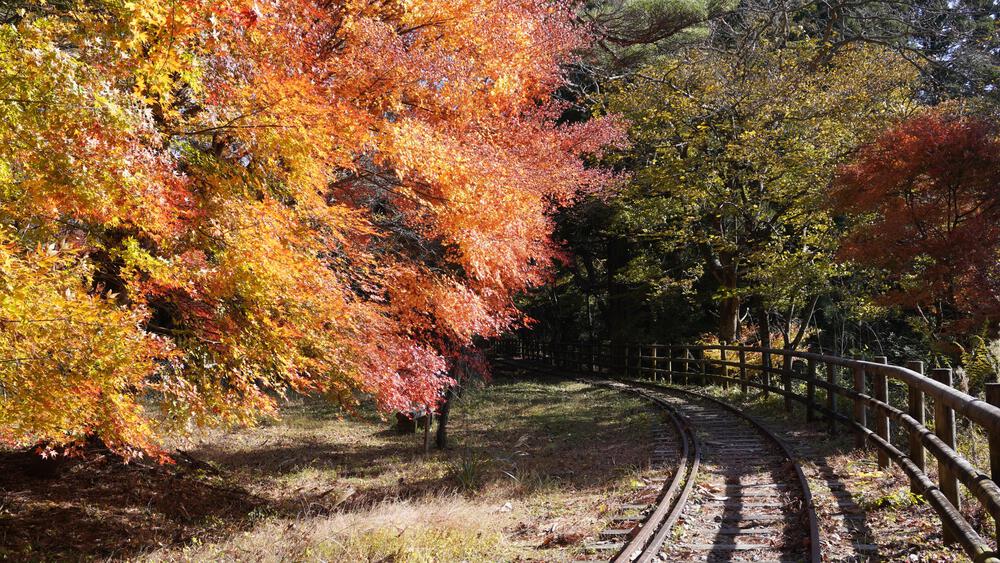 【静岡】秘境すぎて日常のコースでは満足できなくなる禁断コース、奥大井湖上駅と接阻峡の写真10