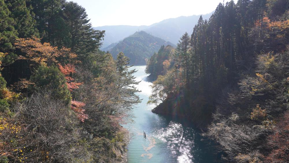 【静岡】秘境すぎて日常のコースでは満足できなくなる禁断コース、奥大井湖上駅と接阻峡の写真11