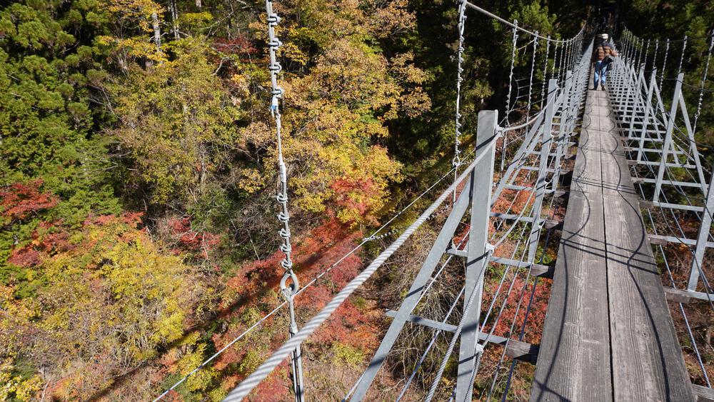 【静岡】秘境すぎて日常のコースでは満足できなくなる禁断コース、奥大井湖上駅と接阻峡の写真12