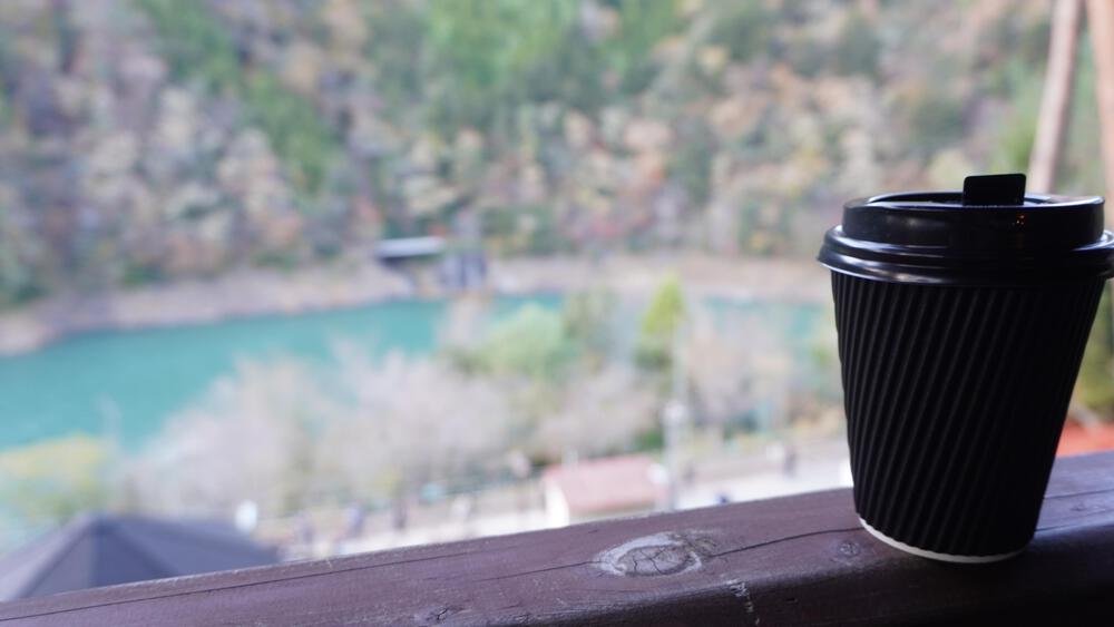 【静岡】秘境すぎて日常のコースでは満足できなくなる禁断コース、奥大井湖上駅と接阻峡の写真13