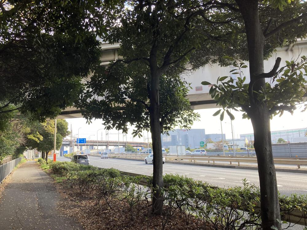 江東から千葉を目指せの写真7