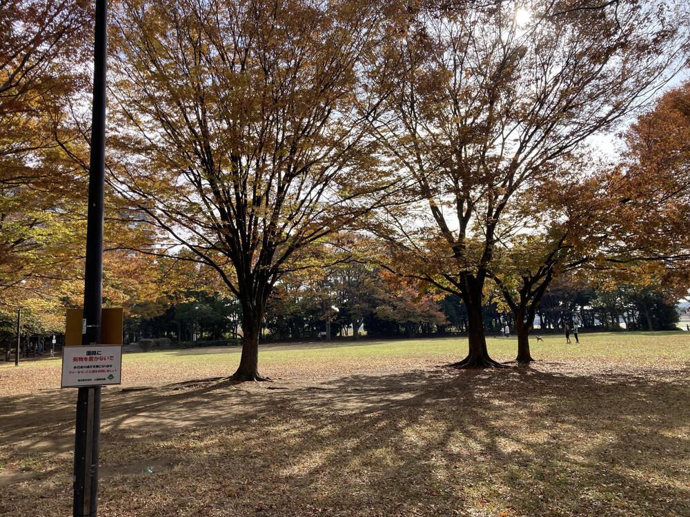 江東から千葉を目指せの写真10