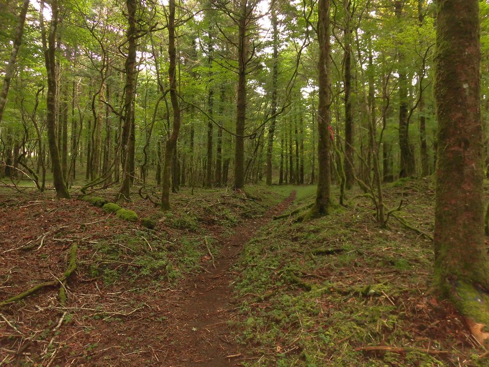 富士山登山ルート3776の写真7
