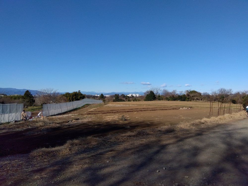 横浜瀬谷区　追分市民の森～瀬谷市民の森　トレイルの写真5