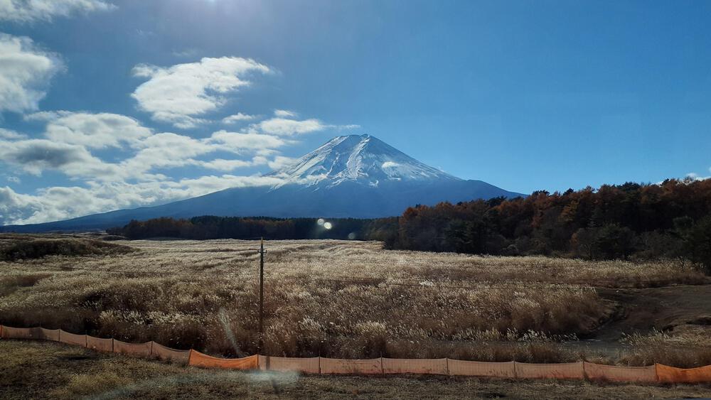 【動画あり】紅葉季節の河口湖は富士山だけじゃぁなく、もみじのトンネルが複数出現するランニング天国の写真3