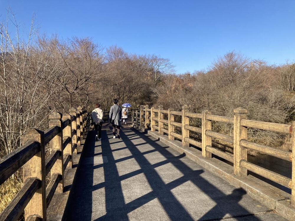 冬の朝の澄める富士に感動🥺富士田貫湖ラン♪の写真5