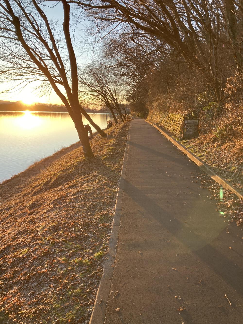冬の朝の澄める富士に感動🥺富士田貫湖ラン♪の写真7
