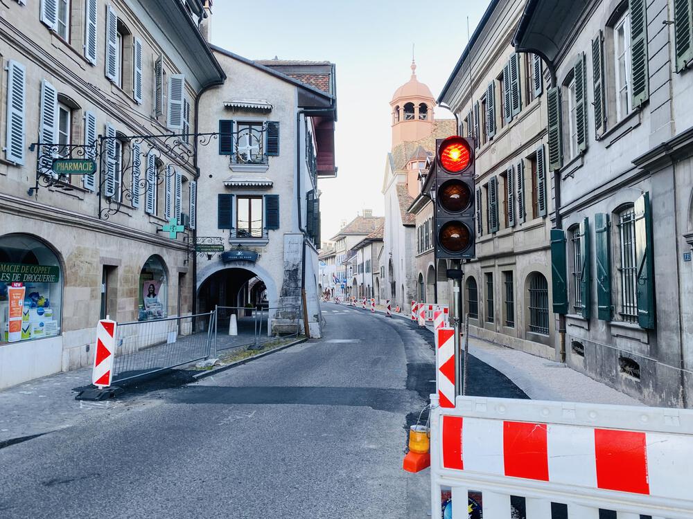 【スイス】Collex→Coppet【森を爆走し湖にin】の写真4