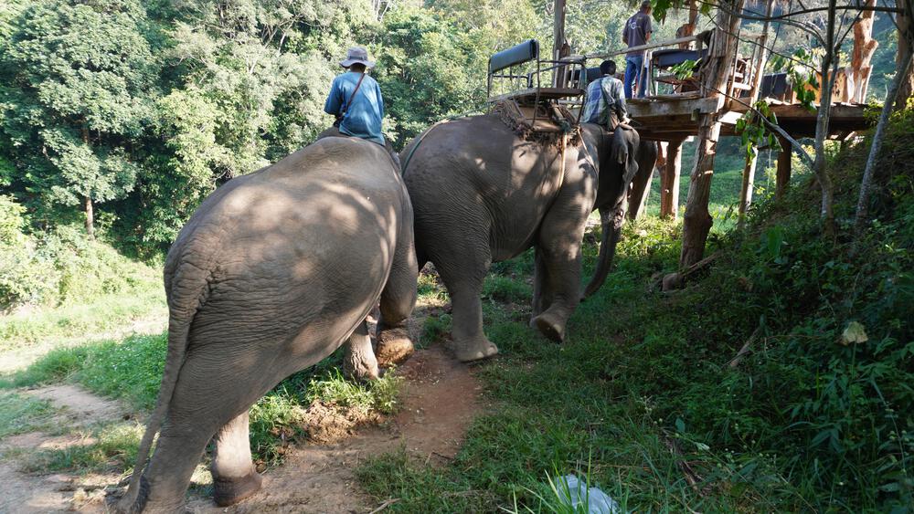【タイ、チェンマイ】出張でも楽しめるお手軽コースの写真4