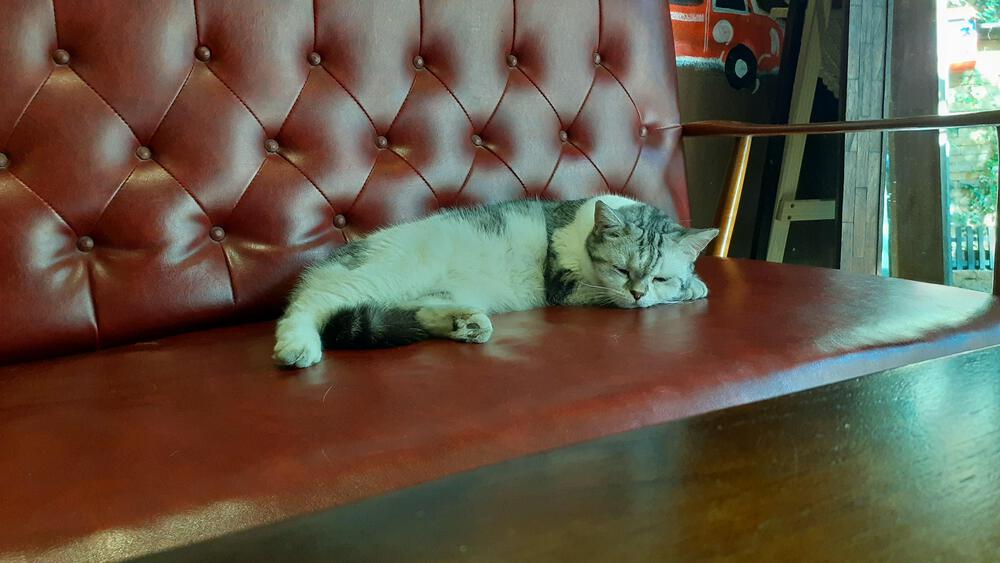 【タイ、チェンマイ】出張でも楽しめるお手軽コースの写真7