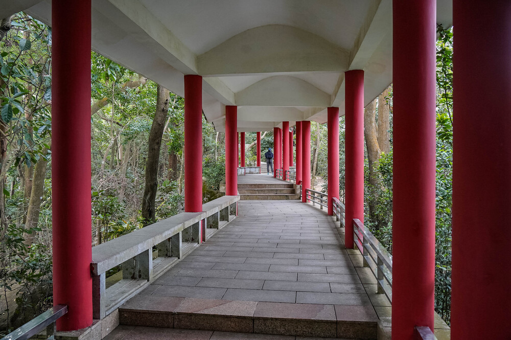 “散歩登山”が盛んな南山公園の写真5