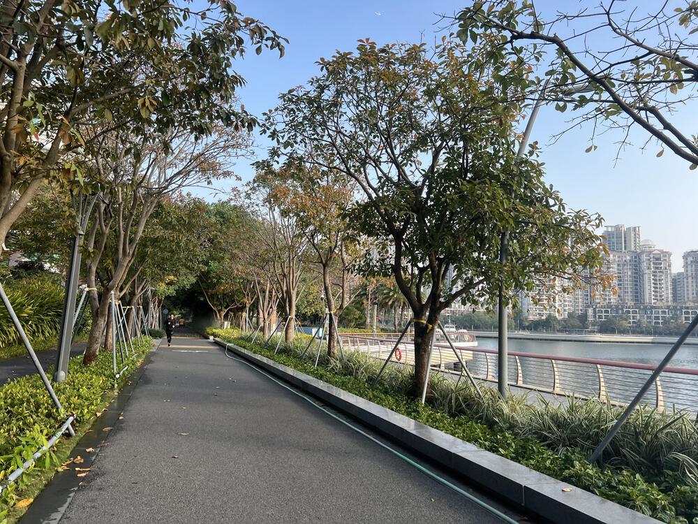 オススメの深圳湾シーサイドコースの写真5