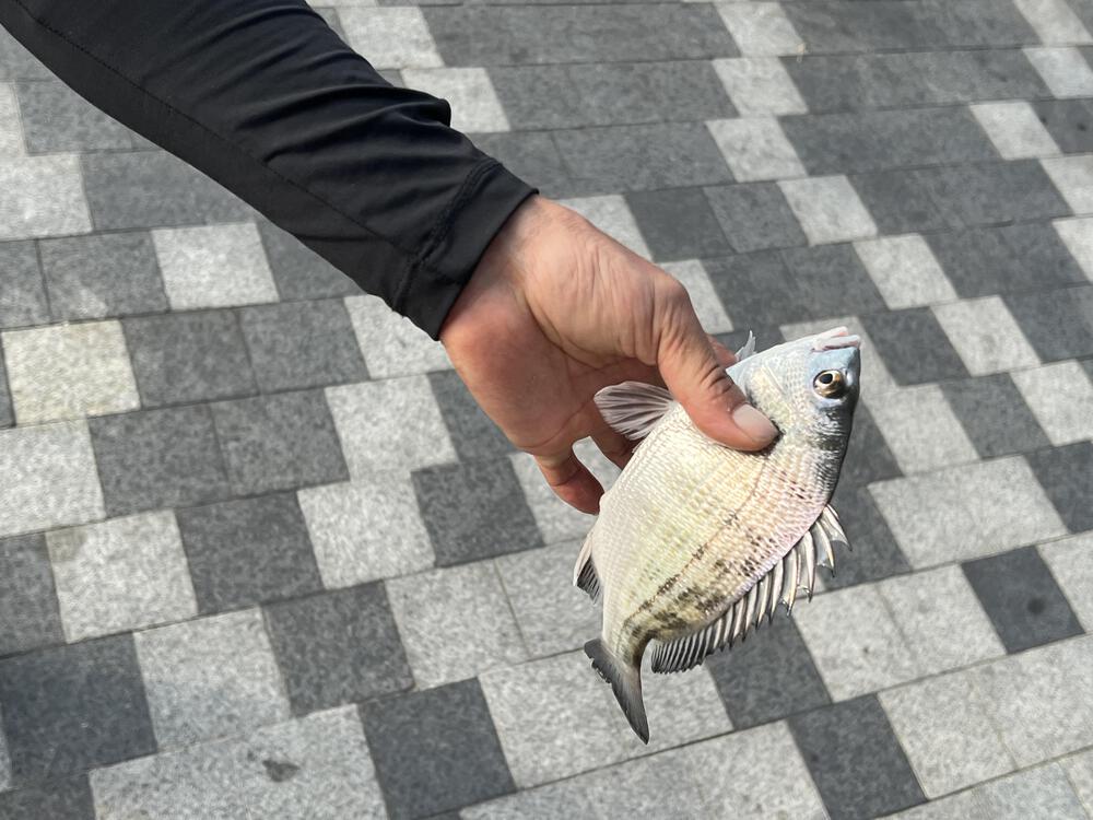 オススメの深圳湾シーサイドコースの写真7