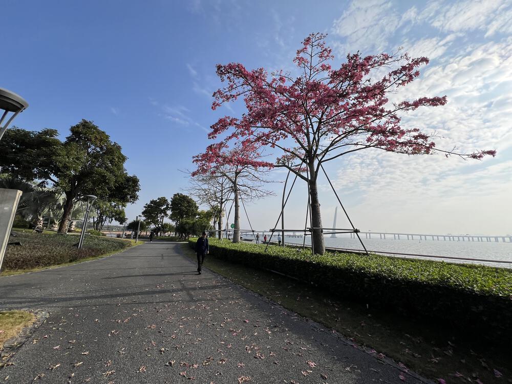 オススメの深圳湾シーサイドコースの写真8