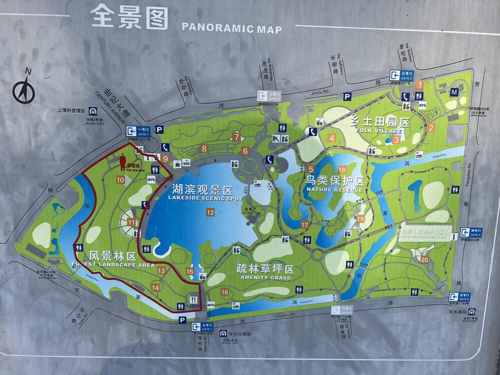 上海の世紀公園の写真3