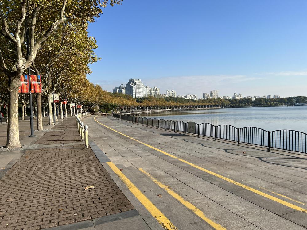 上海の世紀公園の写真4