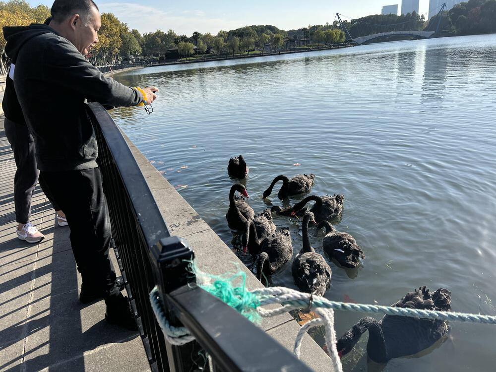 上海の世紀公園の写真5