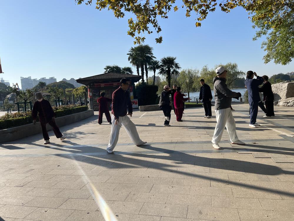 上海の世紀公園の写真8