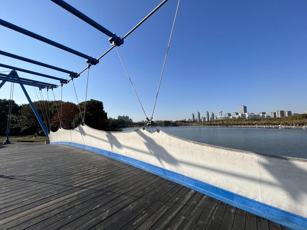 上海の世紀公園の写真9