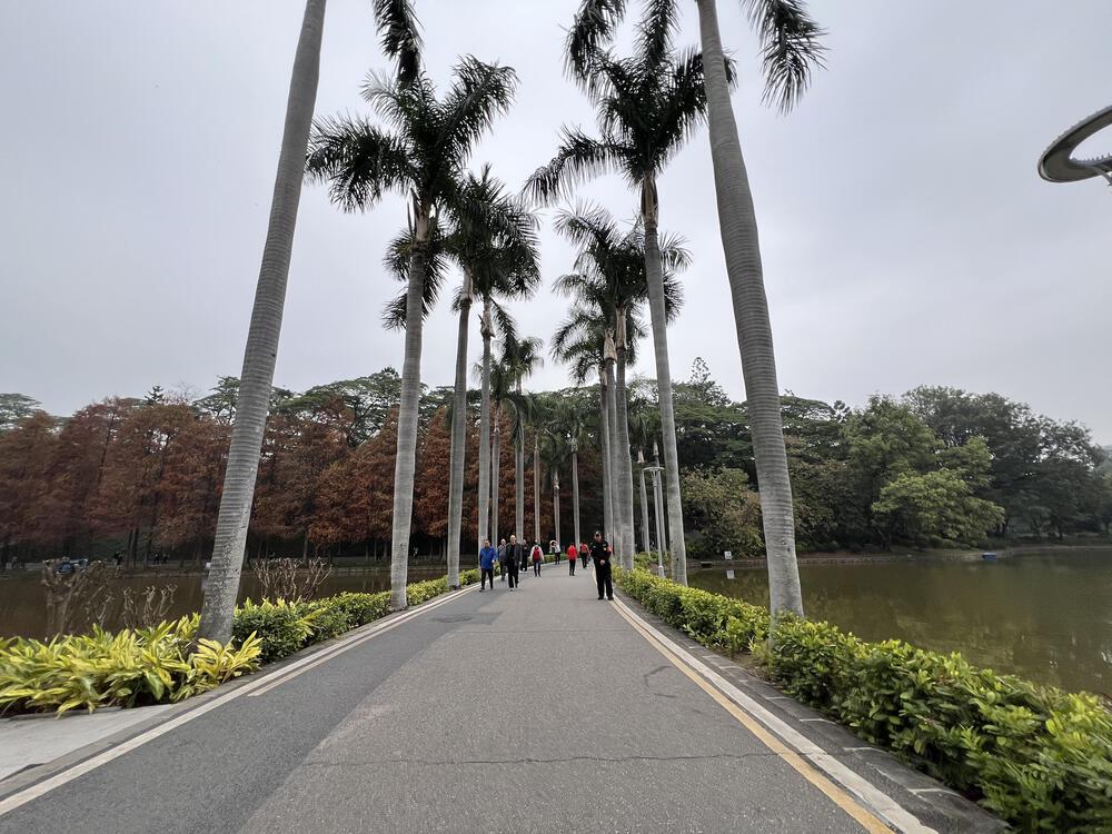広州の天河公園の写真8