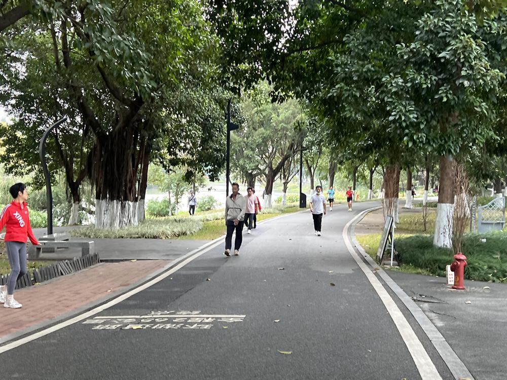 走りやすい海珠湖公園周回コースの写真3