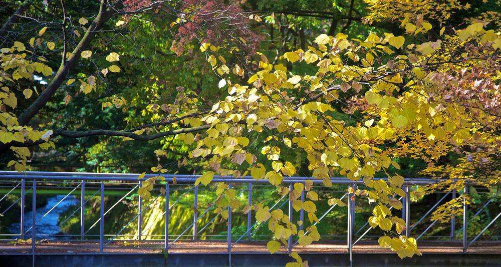 素晴らしい街並みと紅葉を感じる軽井沢の写真5