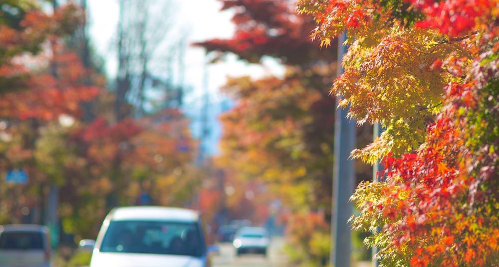 素晴らしい街並みと紅葉を感じる軽井沢の写真6