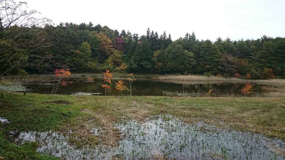 土湯温泉から旧国道でつちゆロードパークへの写真4