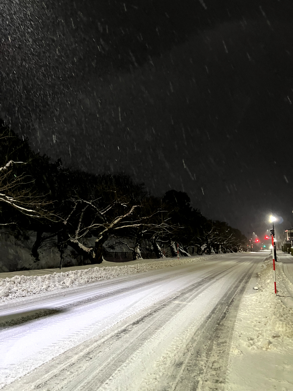 弘前城＋最勝院五重塔周回の写真5