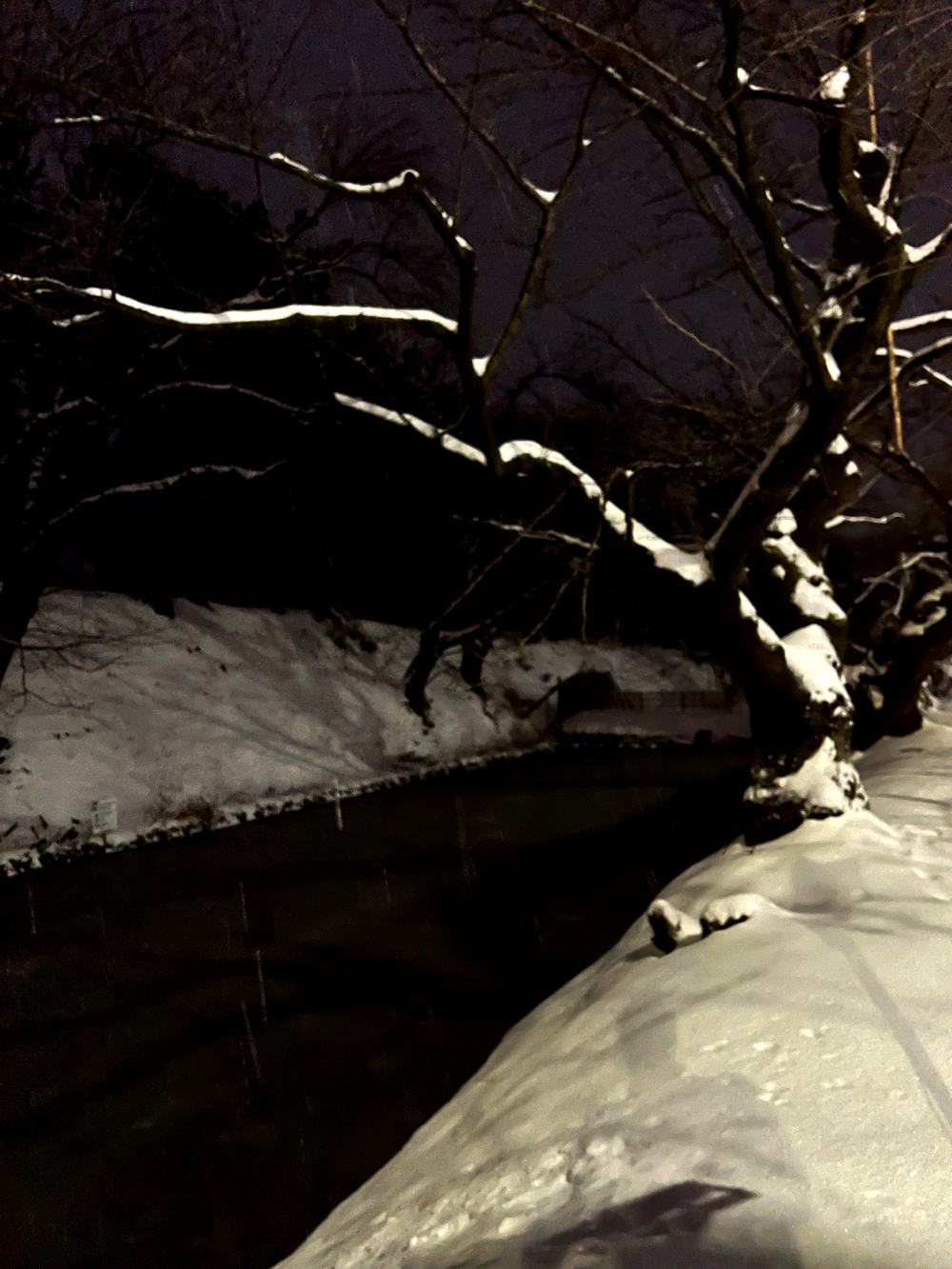 弘前城＋最勝院五重塔周回の写真6