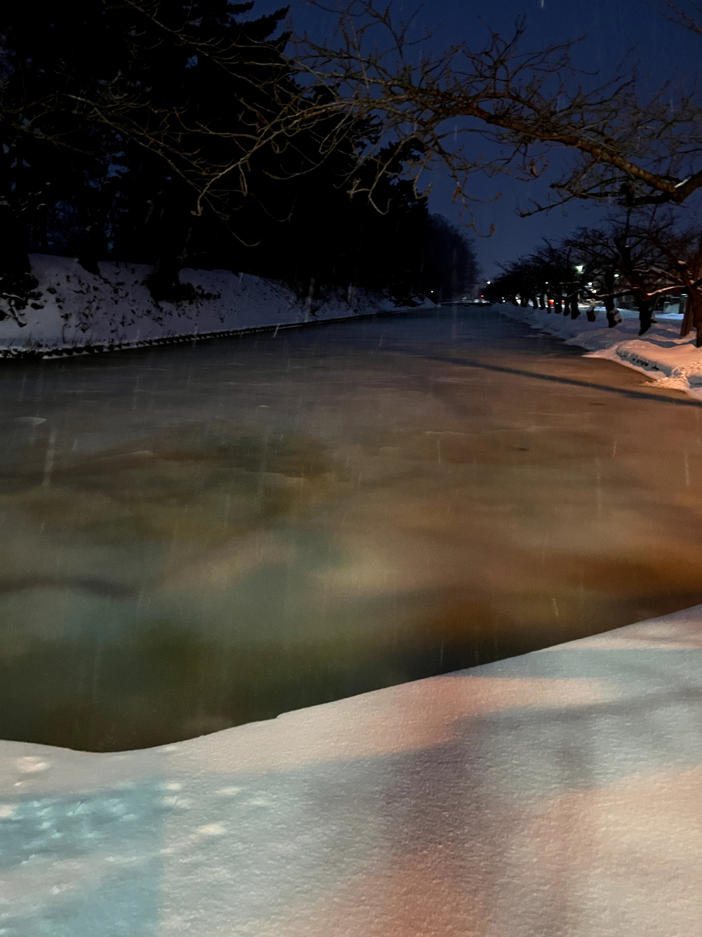 弘前城＋最勝院五重塔周回の写真9