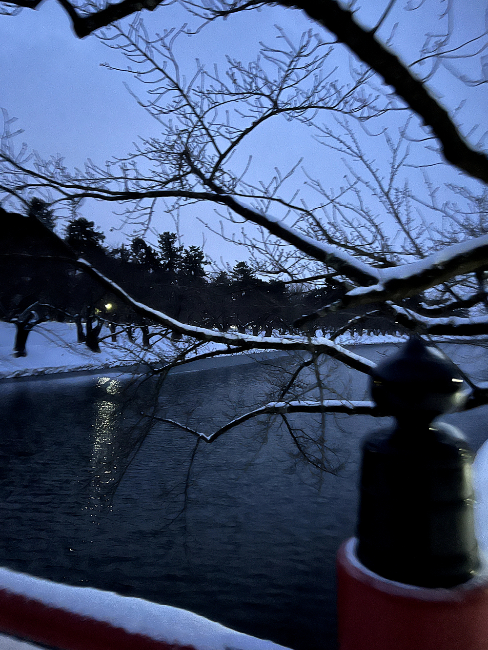 弘前城＋最勝院五重塔周回の写真11