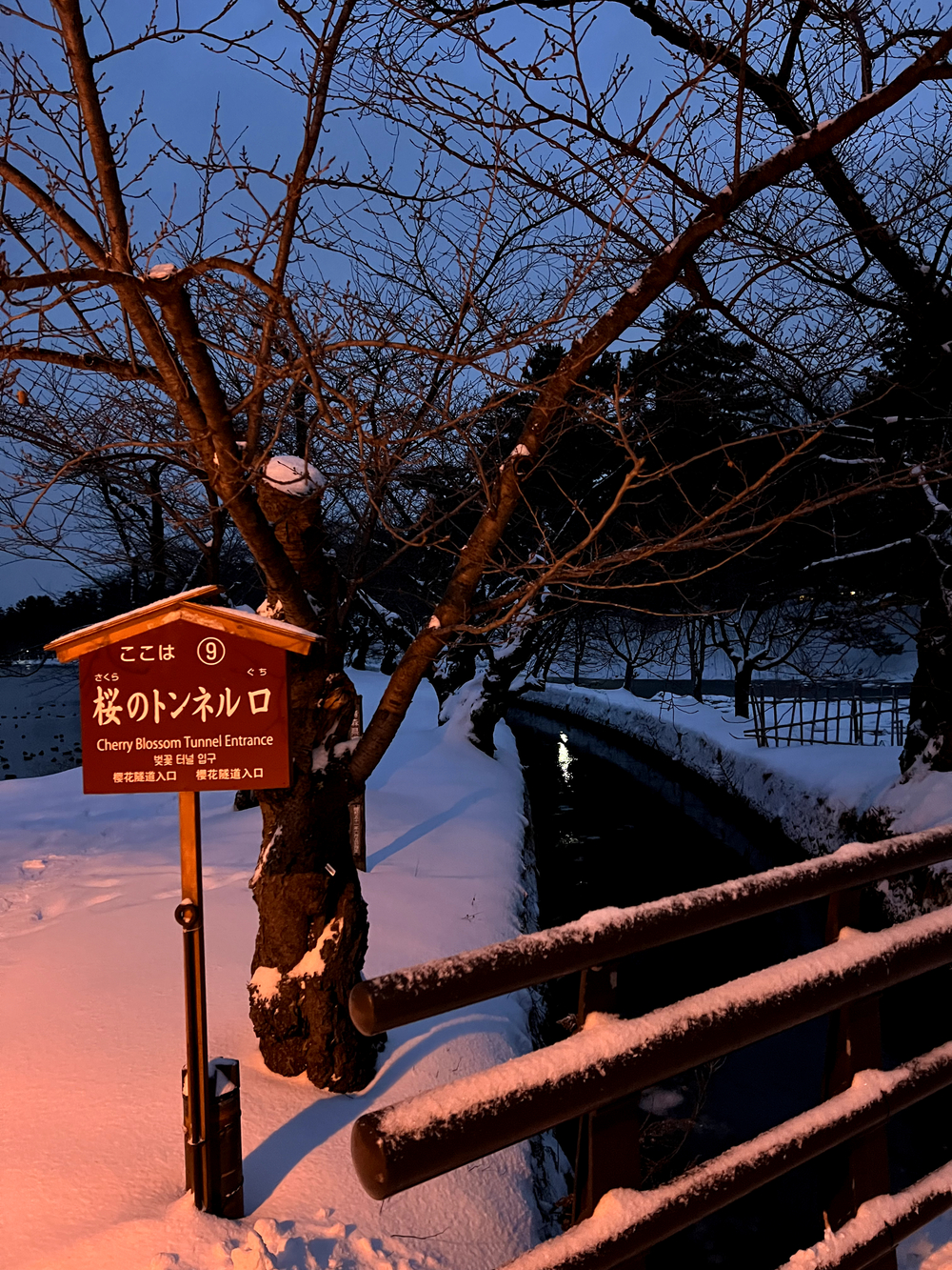 弘前城＋最勝院五重塔周回の写真12