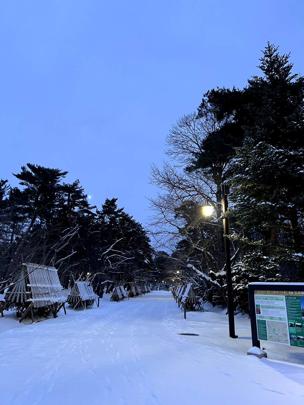 弘前城＋最勝院五重塔周回の写真16