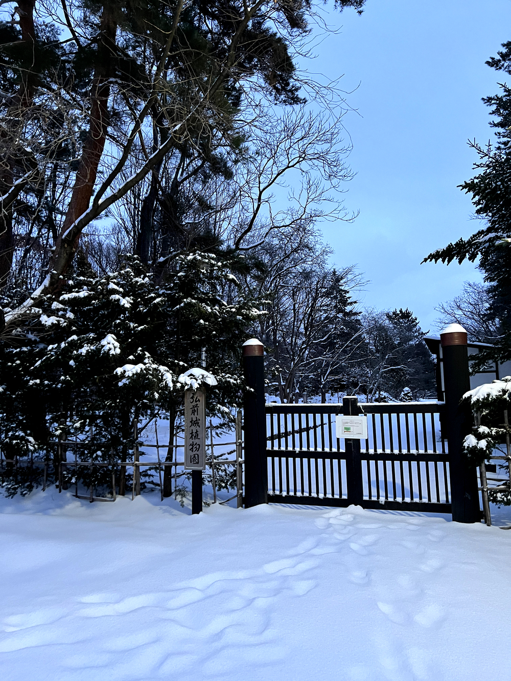 弘前城＋最勝院五重塔周回の写真17