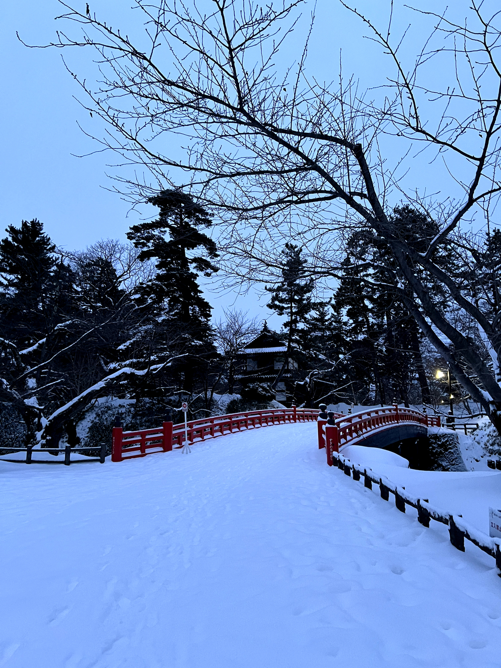 弘前城＋最勝院五重塔周回の写真20