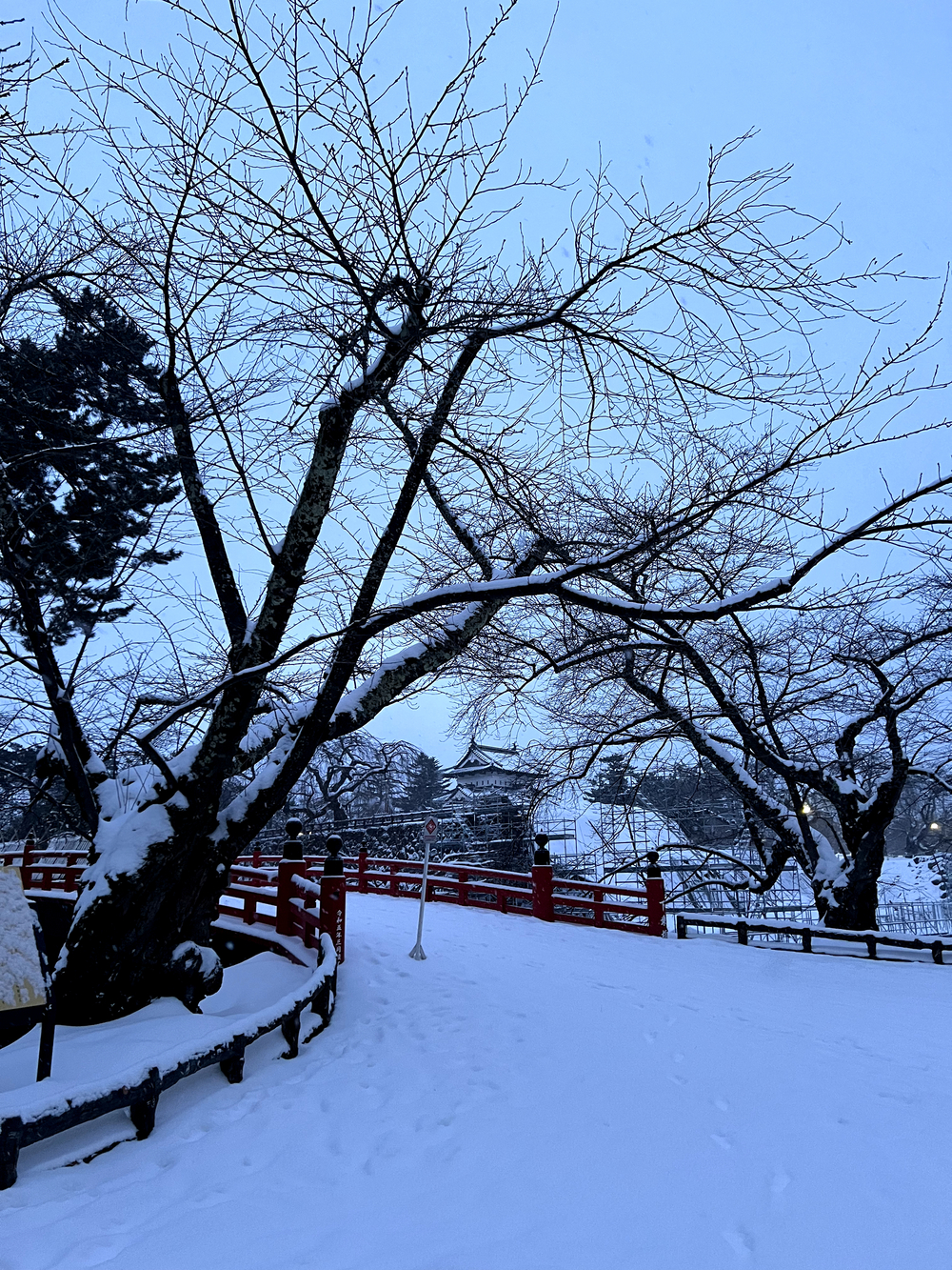 弘前城＋最勝院五重塔周回の写真22